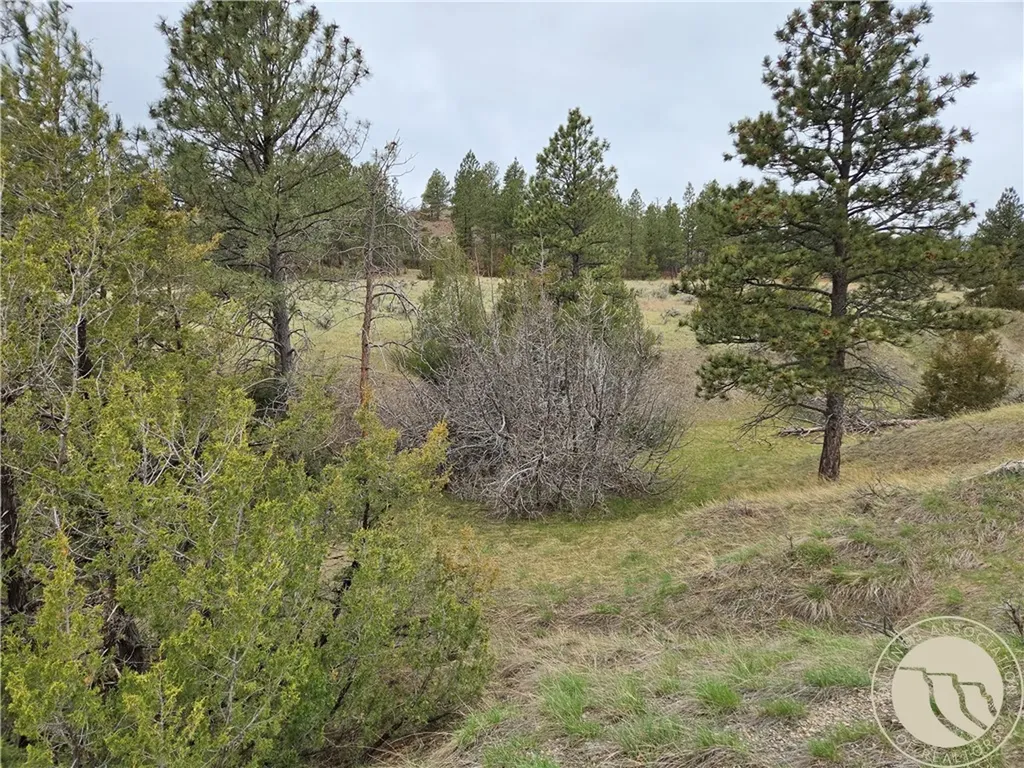 Lot 63 Starlight Drive Roundup MT 59072