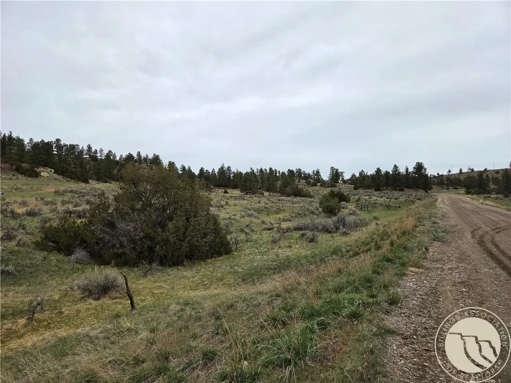 Lot 63 Starlight Drive Roundup MT 59072