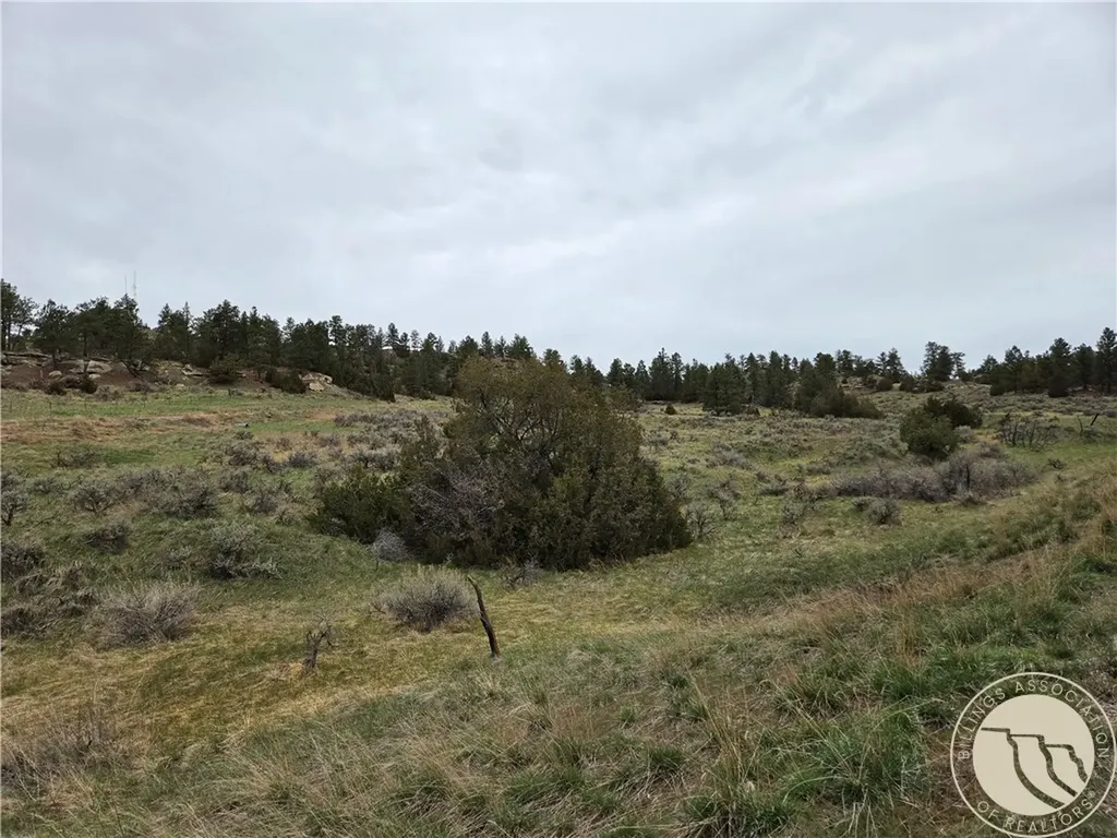 Lot 63 Starlight Drive Roundup MT 59072