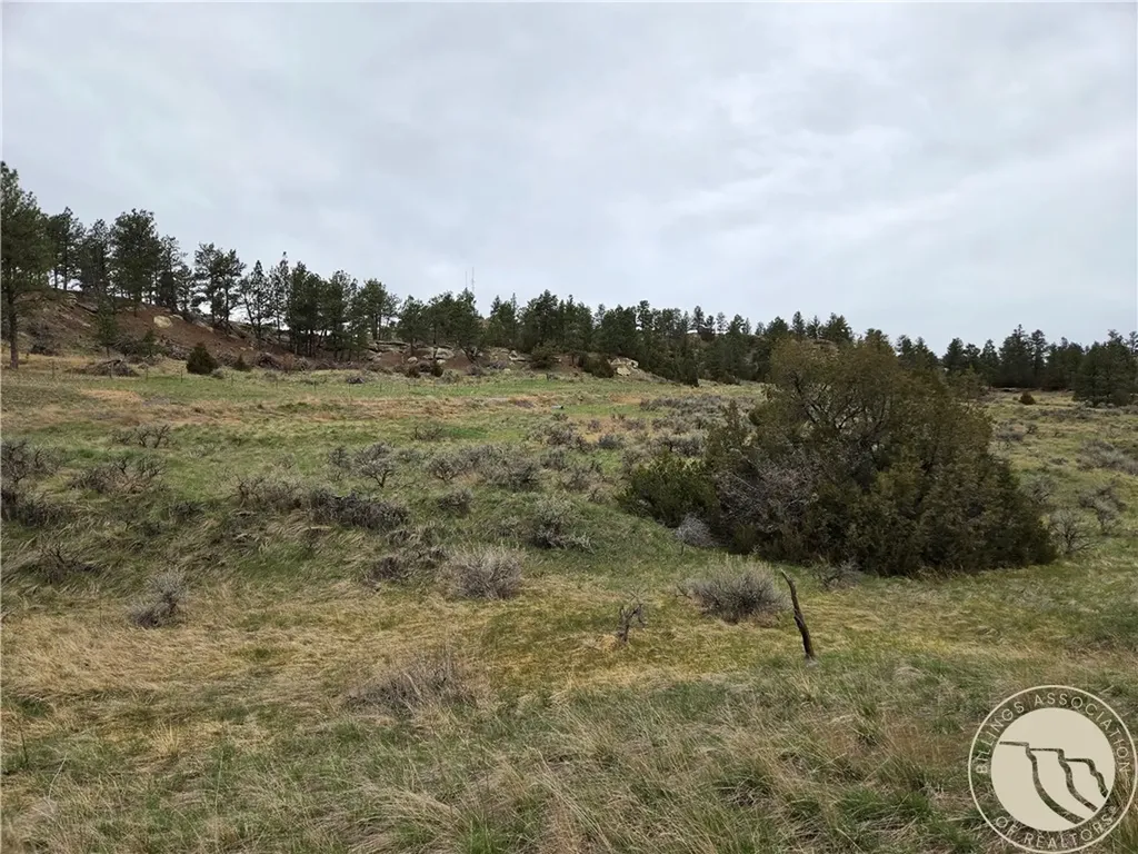 Lot 63 Starlight Drive Roundup MT 59072