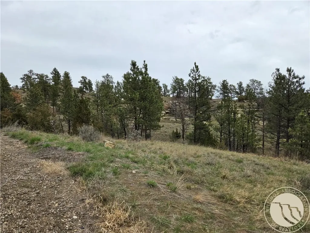 Lot 63 Starlight Drive Roundup MT 59072