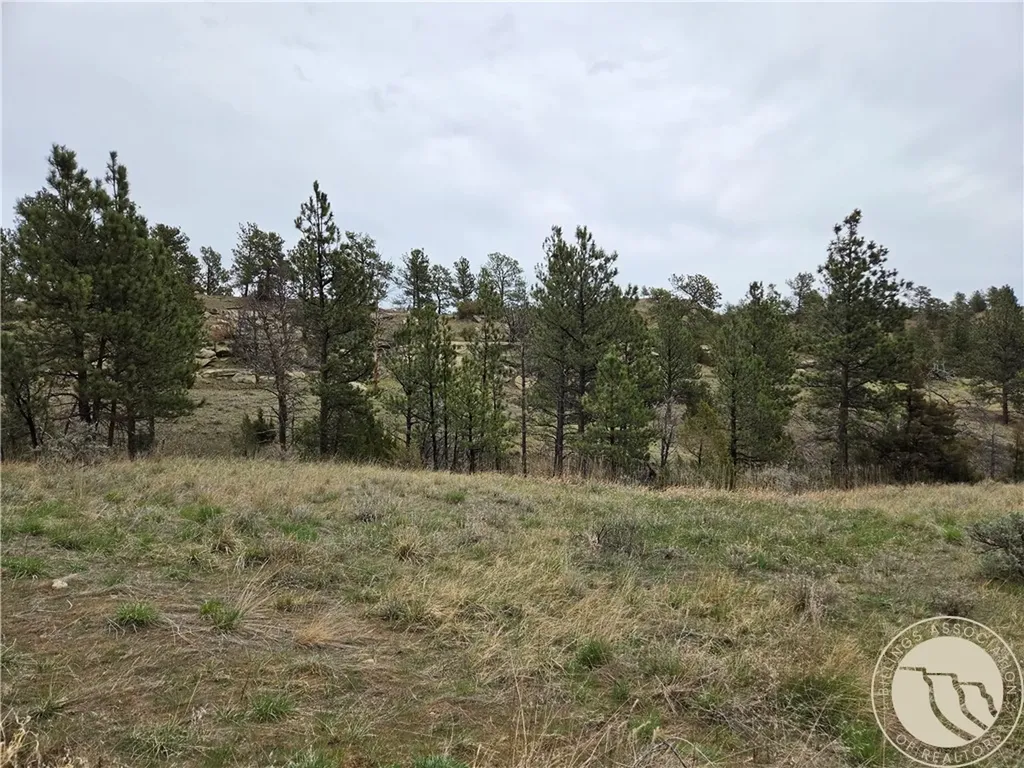 Lot 63 Starlight Drive Roundup MT 59072