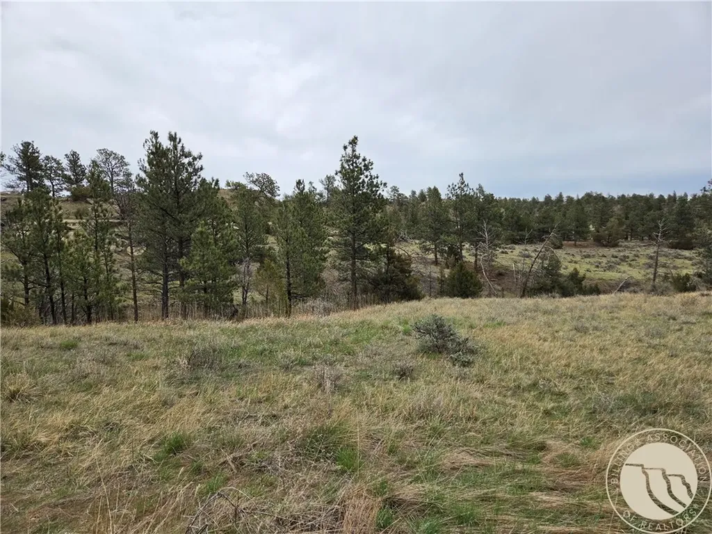 Lot 63 Starlight Drive Roundup MT 59072