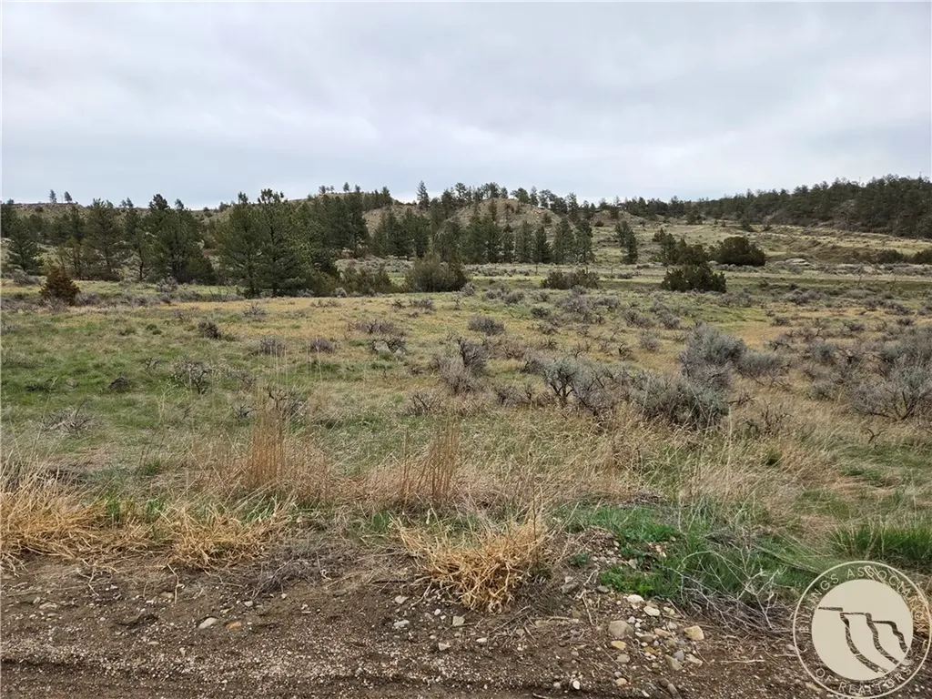 Lot 63 Starlight Drive Roundup MT 59072