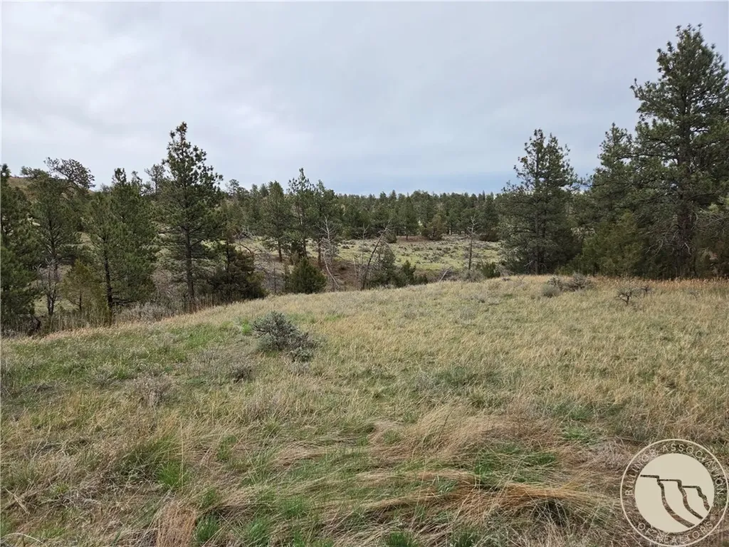 Lot 63 Starlight Drive Roundup MT 59072