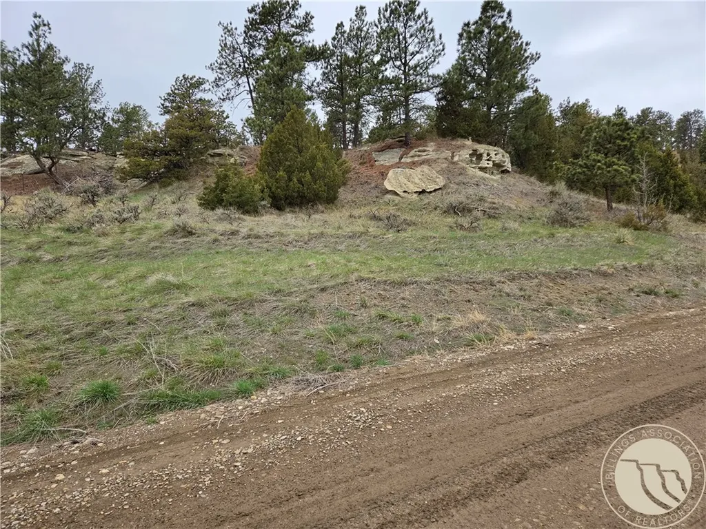 Lot 63 Starlight Drive Roundup MT 59072