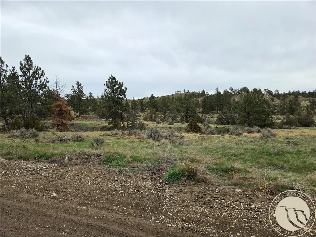 Lot 63 Starlight Drive Roundup MT 59072