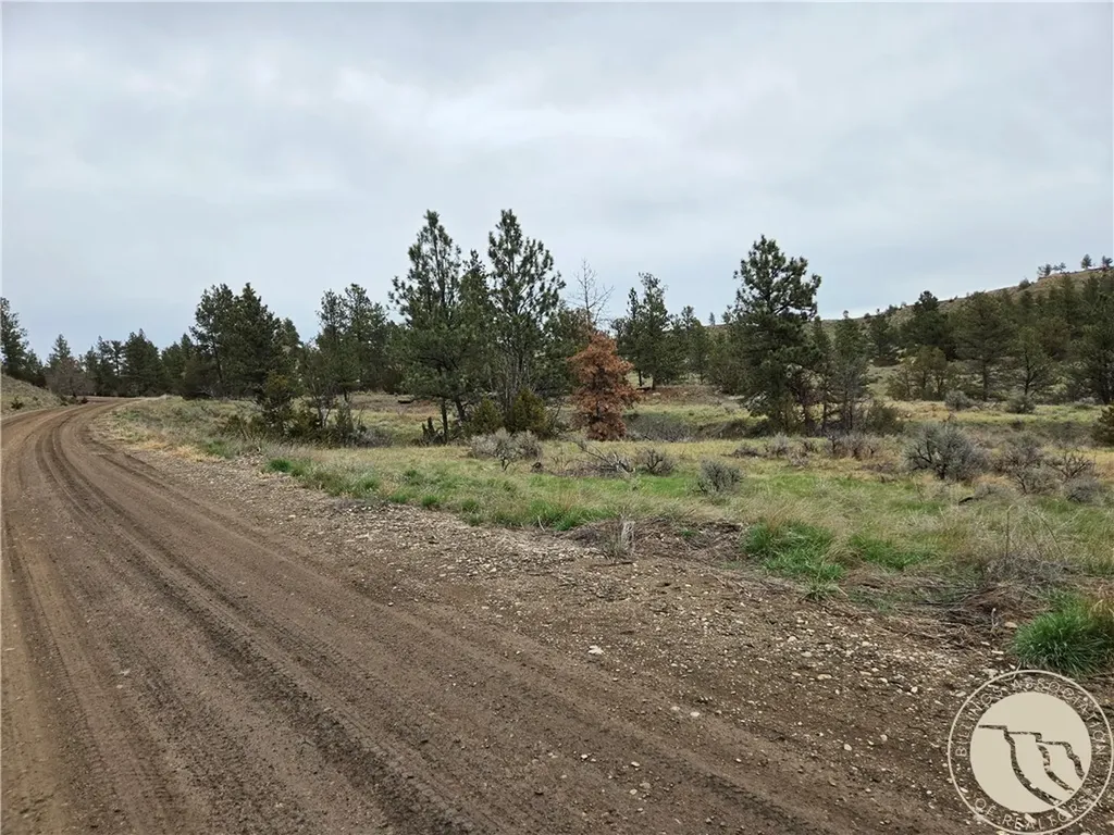Lot 63 Starlight Drive Roundup MT 59072