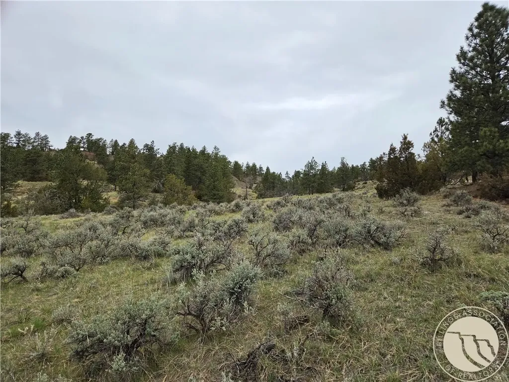 Lot 63 Starlight Drive Roundup MT 59072