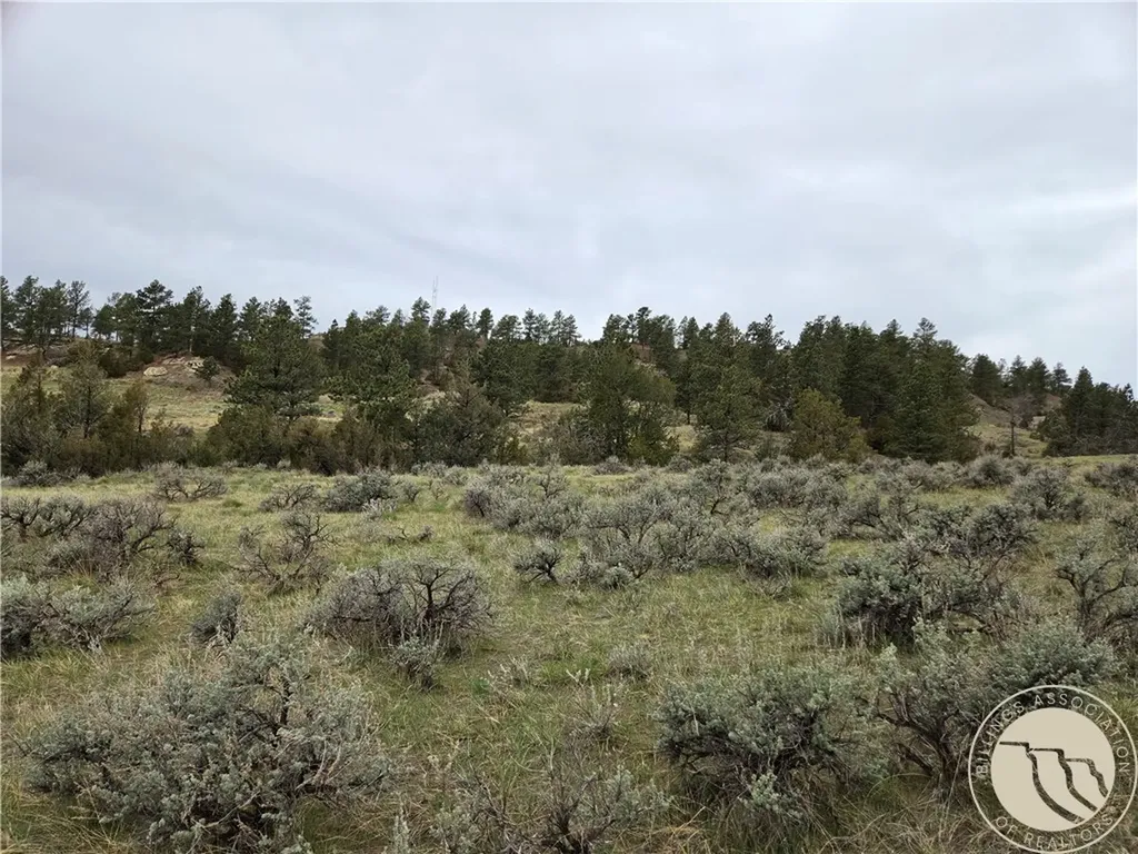 Lot 63 Starlight Drive Roundup MT 59072