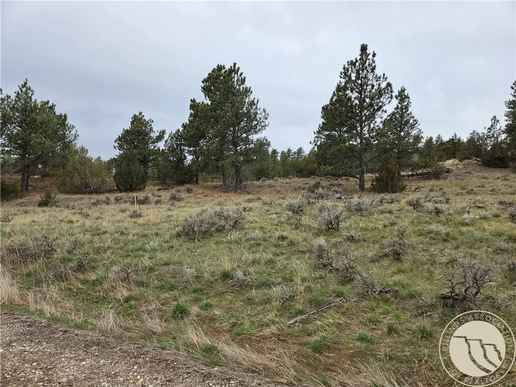 Lot 63 Starlight Drive Roundup MT 59072
