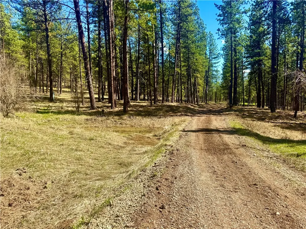 21481 Nine Mile Road Other MT 59846