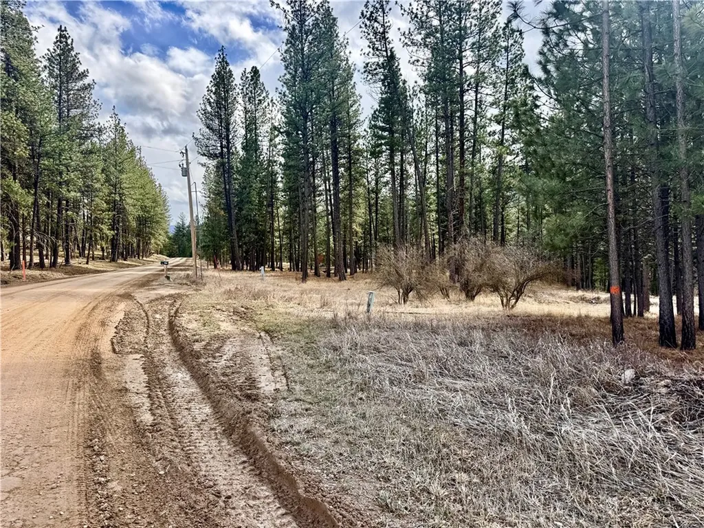 21481 Nine Mile Road Other MT 59846