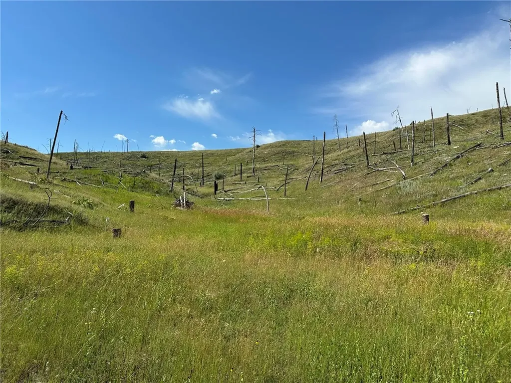 118 Buckskin Drive Roundup MT 59072