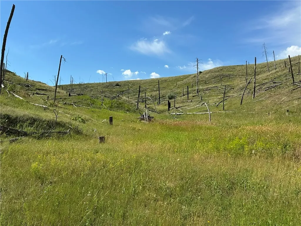 118 Buckskin Drive Roundup MT 59072