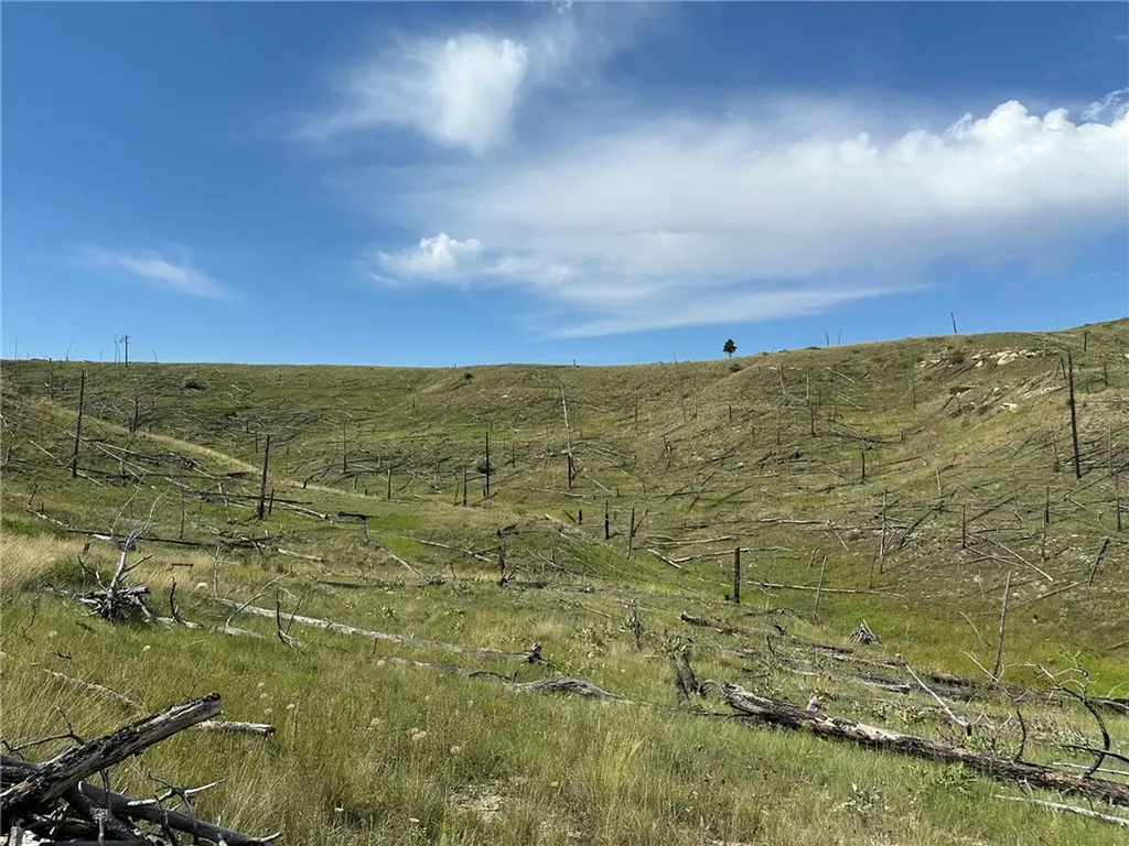 118 Buckskin Drive Roundup MT 59072