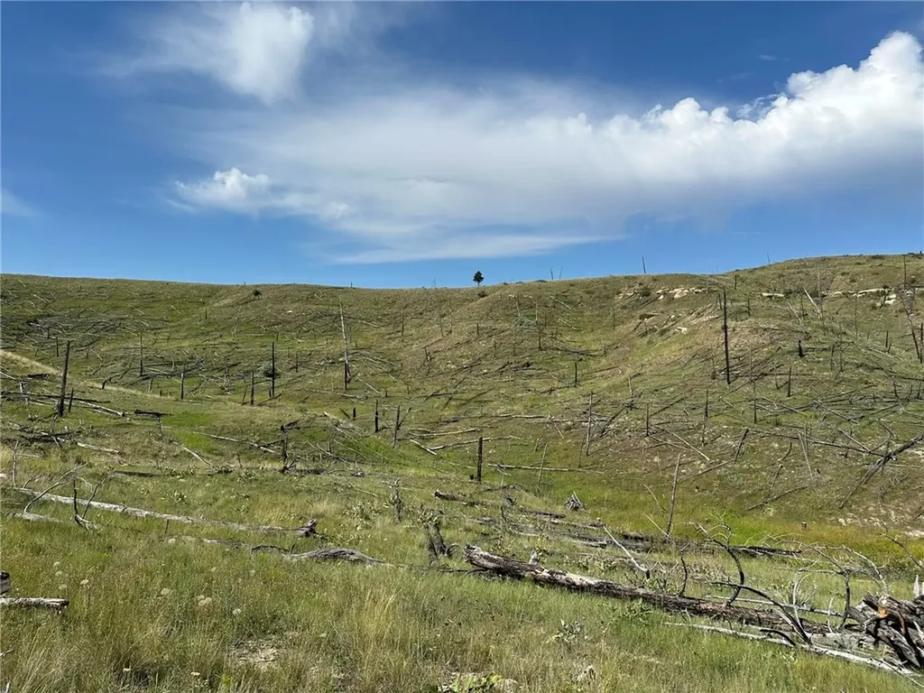 118 Buckskin Drive Roundup MT 59072