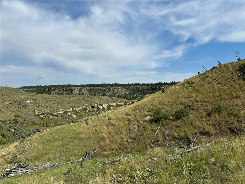 118 Buckskin Drive Roundup MT 59072