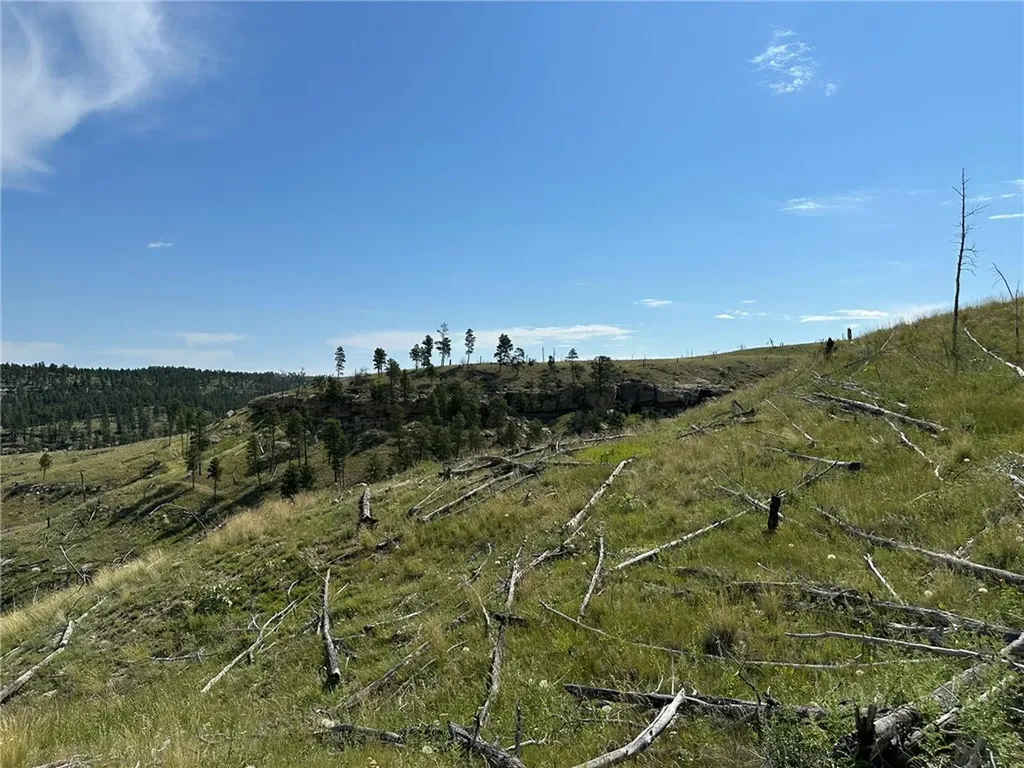 118 Buckskin Drive Roundup MT 59072