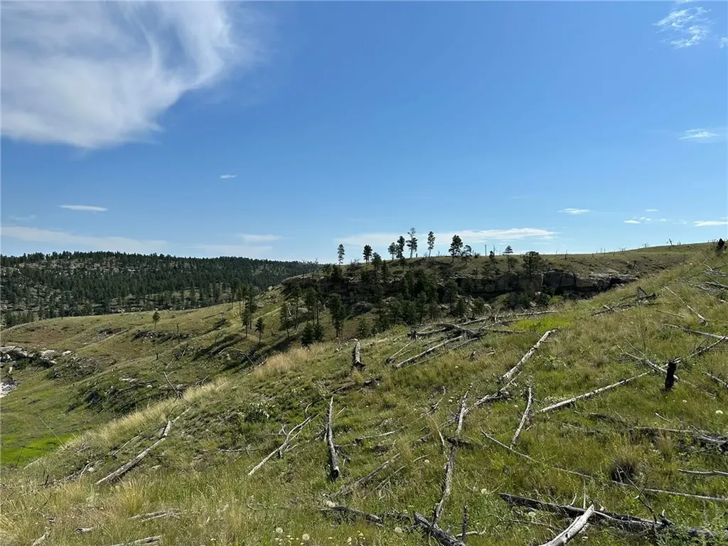 118 Buckskin Drive Roundup MT 59072