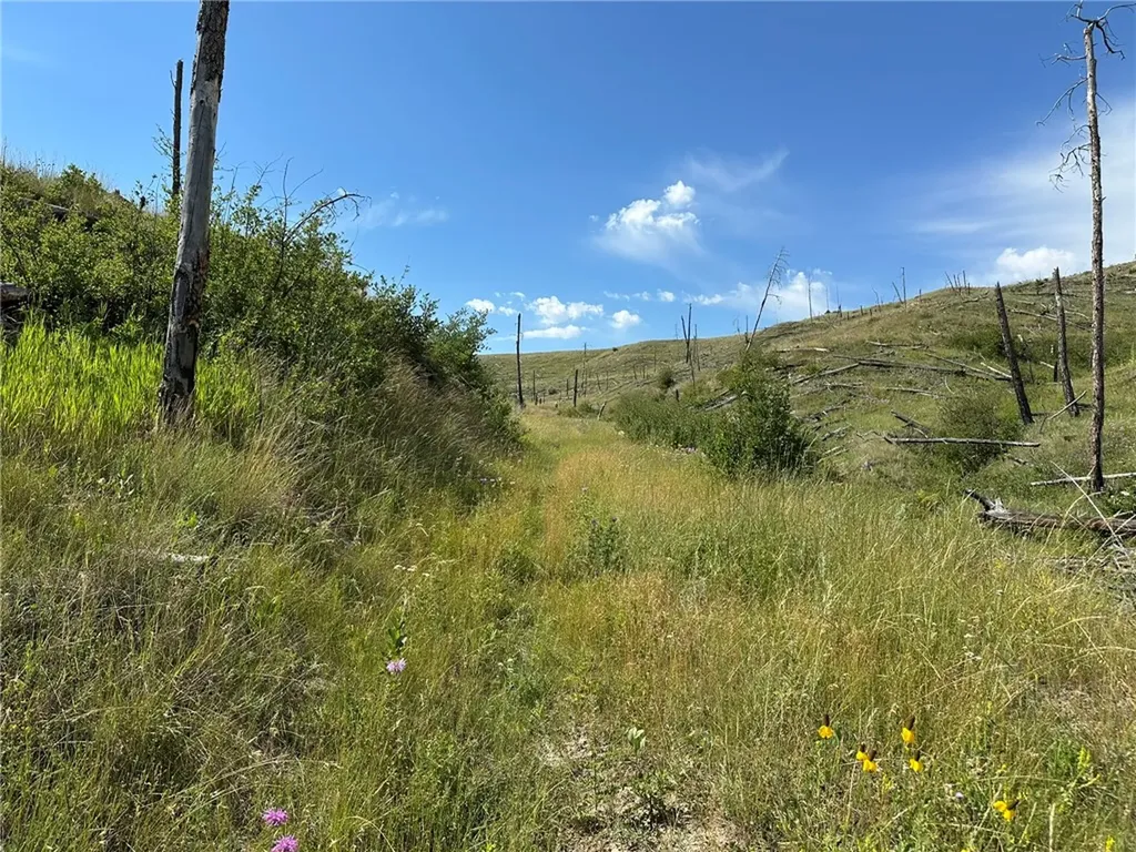 118 Buckskin Drive Roundup MT 59072