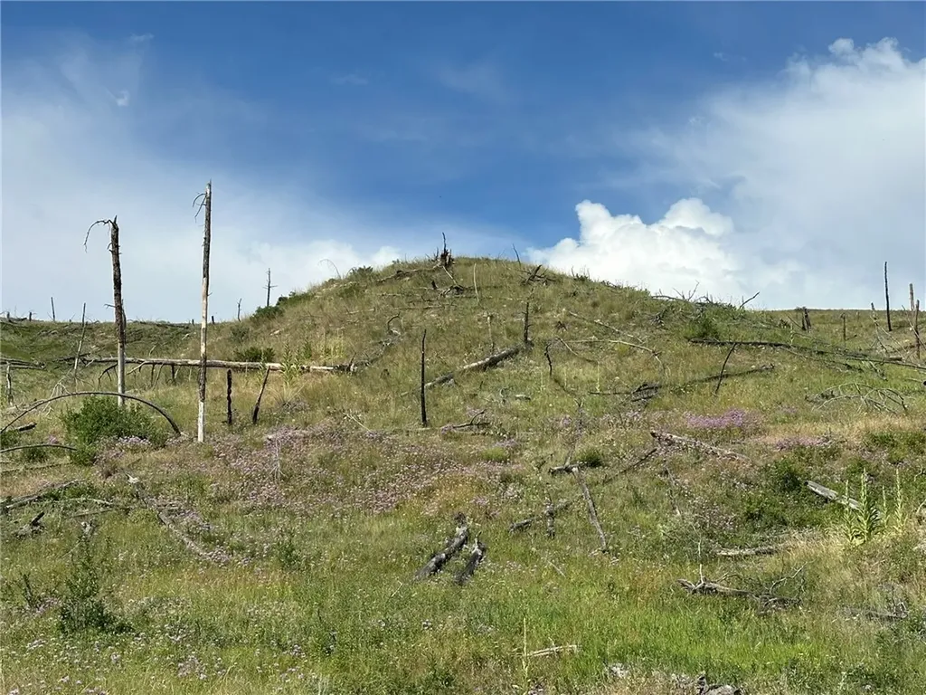 118 Buckskin Drive Roundup MT 59072
