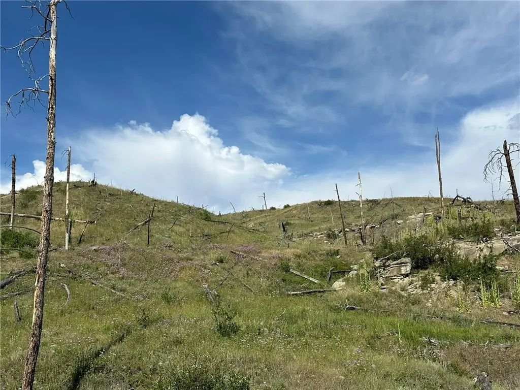 118 Buckskin Drive Roundup MT 59072