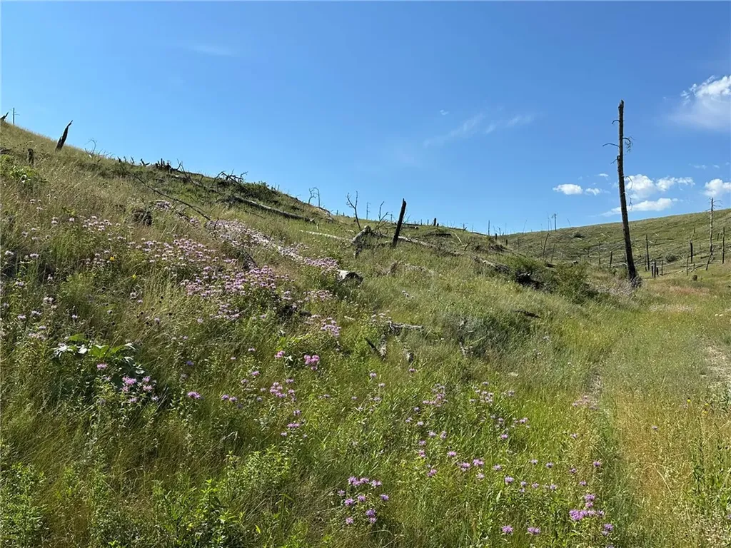 118 Buckskin Drive Roundup MT 59072