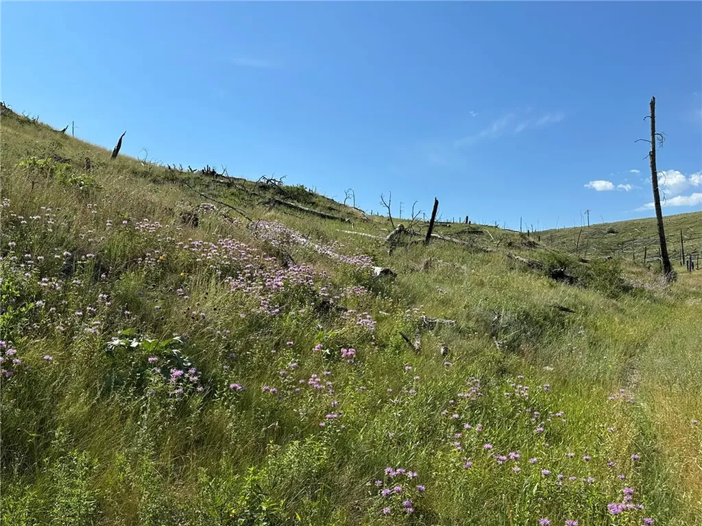 118 Buckskin Drive Roundup MT 59072