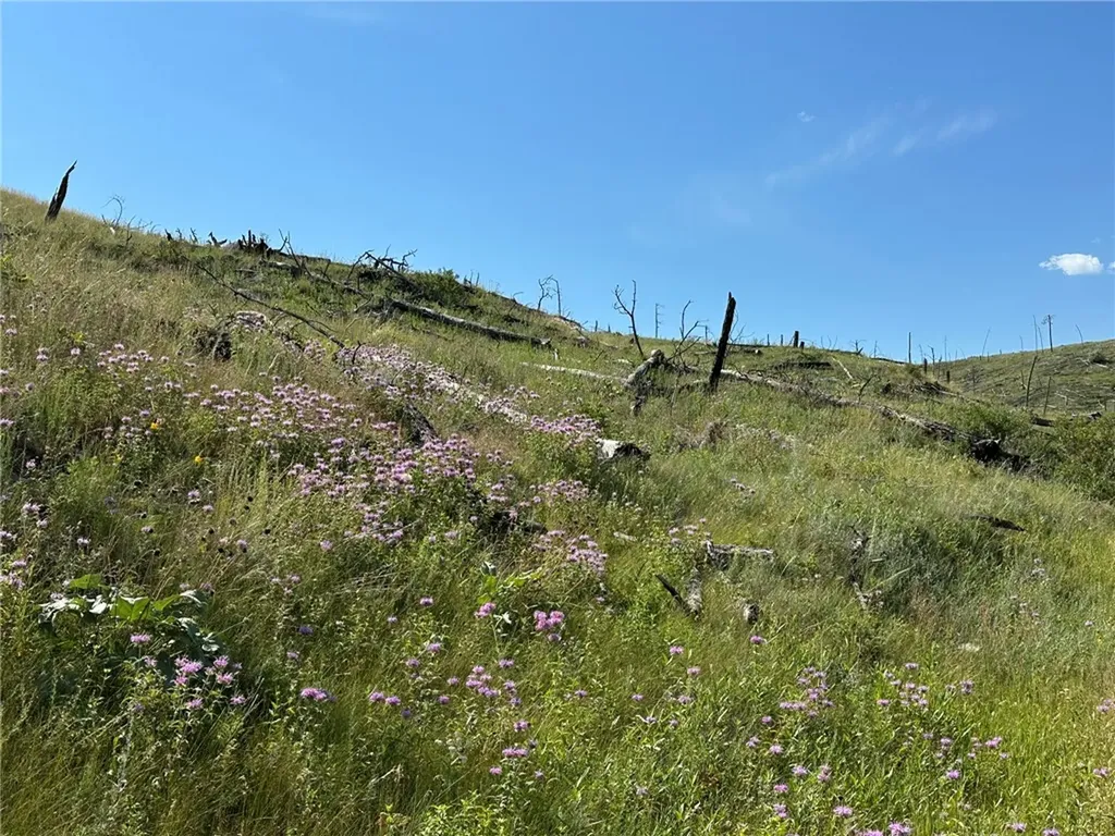 118 Buckskin Drive Roundup MT 59072