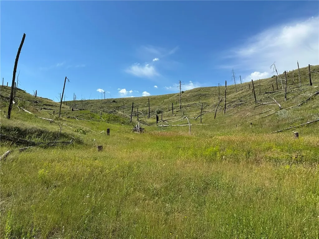 118 Buckskin Drive Roundup MT 59072