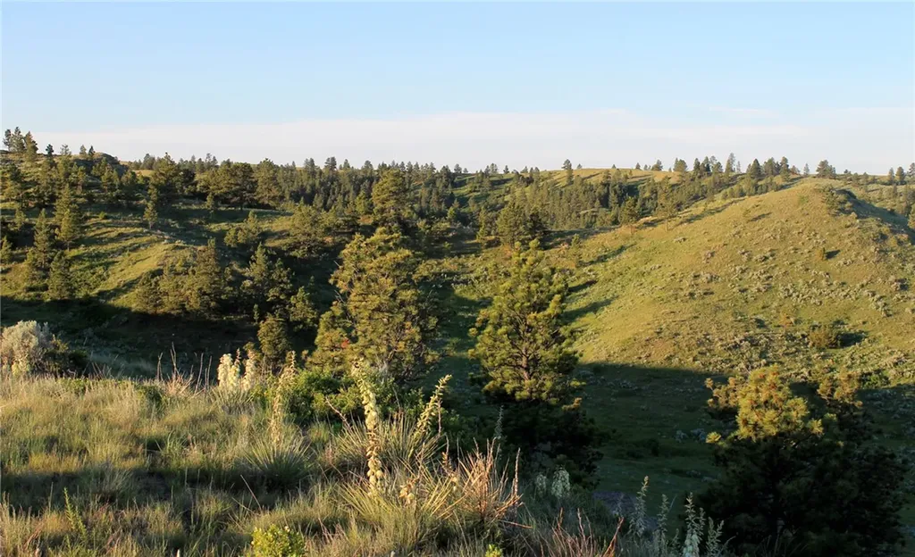 Nhn Lone Rock Canyon Hysham MT 59076