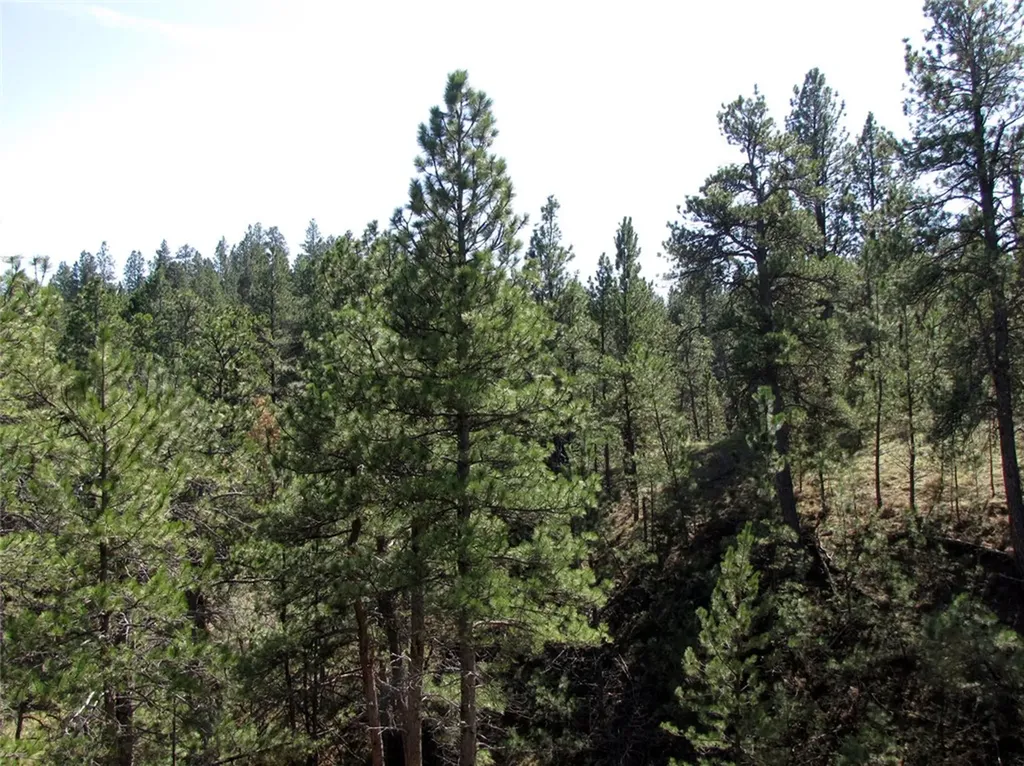 Nhn Lone Rock Canyon Hysham MT 59076