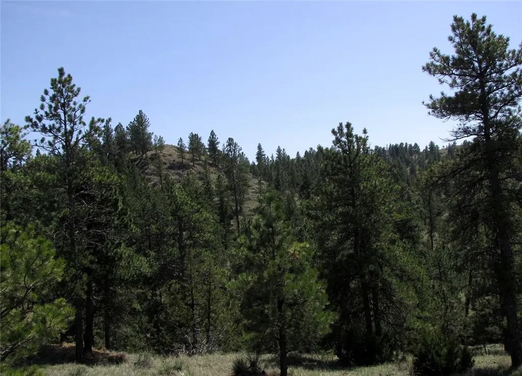 Nhn Lone Rock Canyon Hysham MT 59076