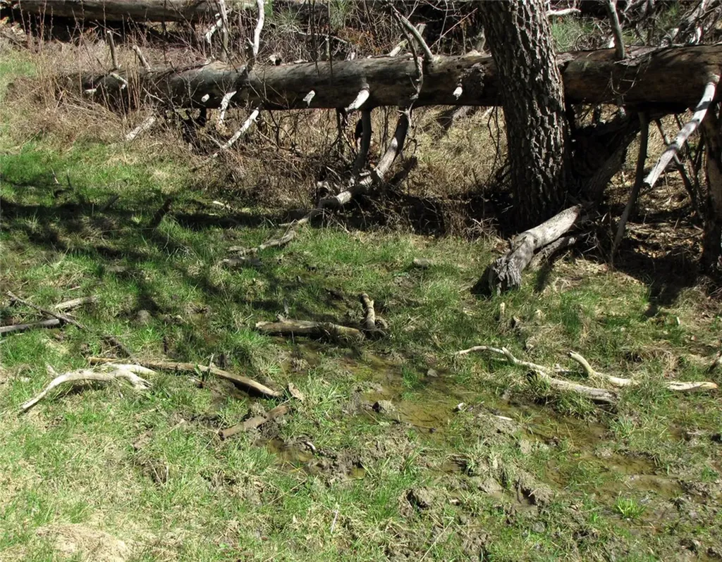 Nhn Lone Rock Canyon Hysham MT 59076