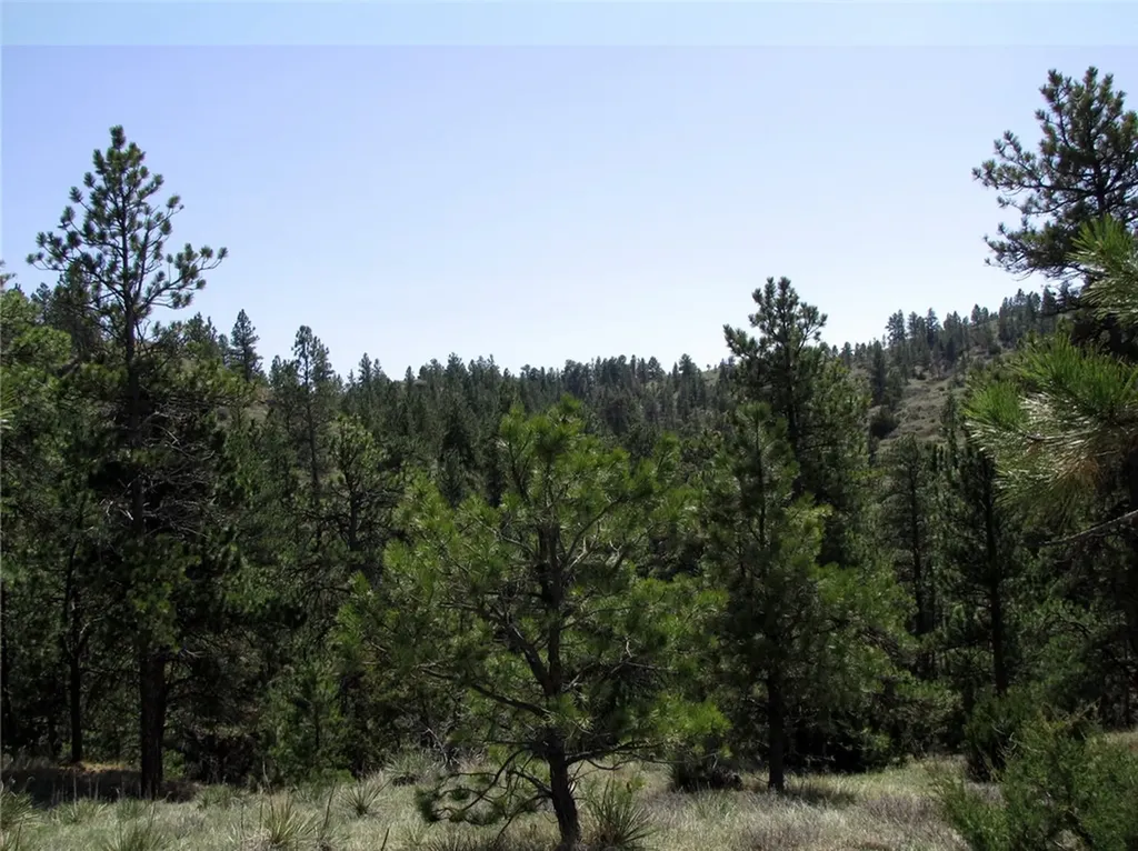 Nhn Lone Rock Canyon Hysham MT 59076