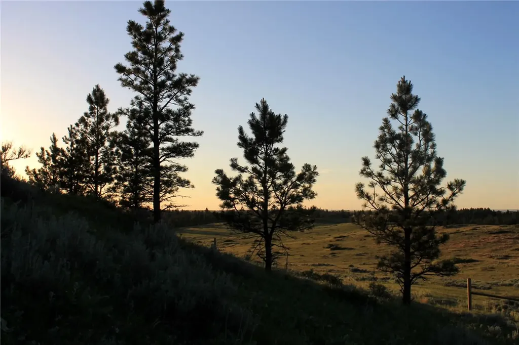 Nhn Lone Rock Canyon Hysham MT 59076