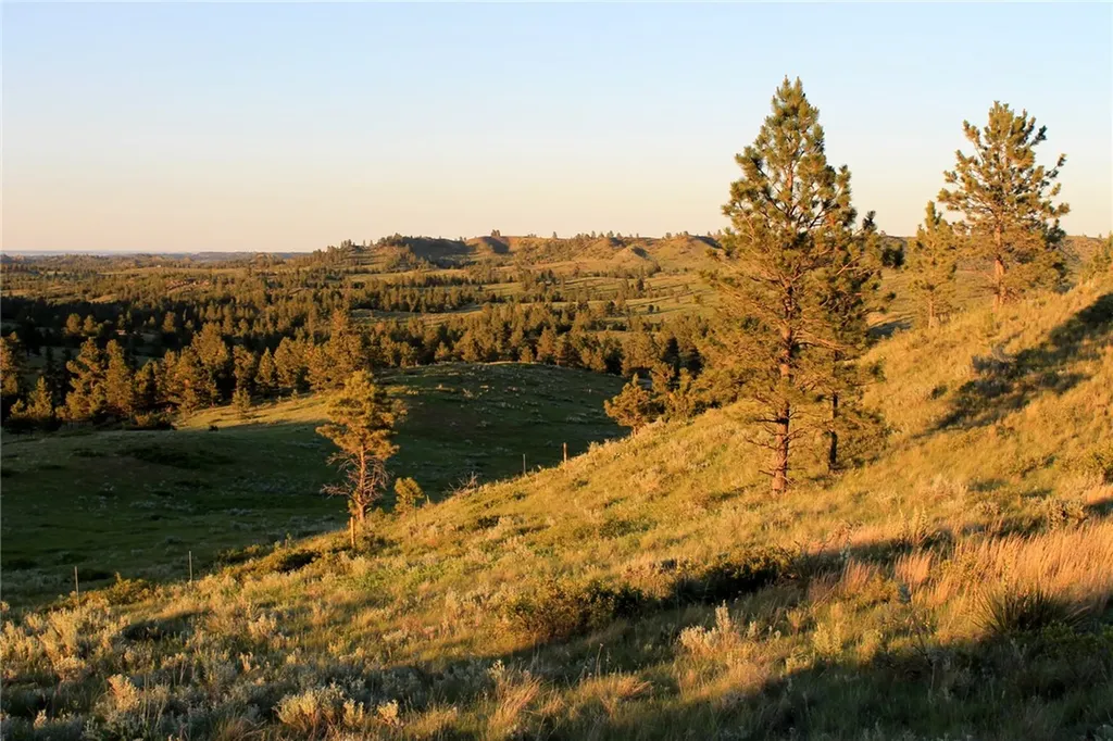 Nhn Lone Rock Canyon Hysham MT 59076