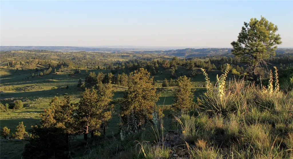 Nhn Lone Rock Canyon Hysham MT 59076