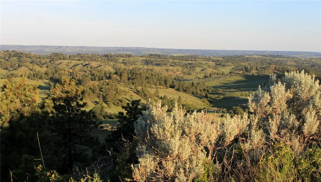 Nhn Lone Rock Canyon Hysham MT 59076