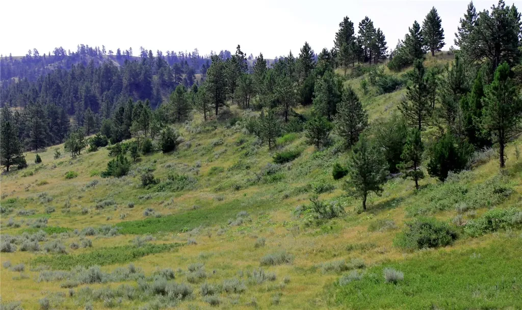 Nhn Lone Rock Canyon Hysham MT 59076