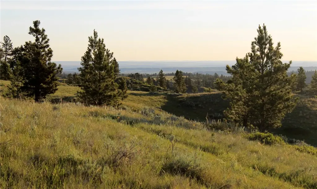 Nhn Lone Rock Canyon Hysham MT 59076