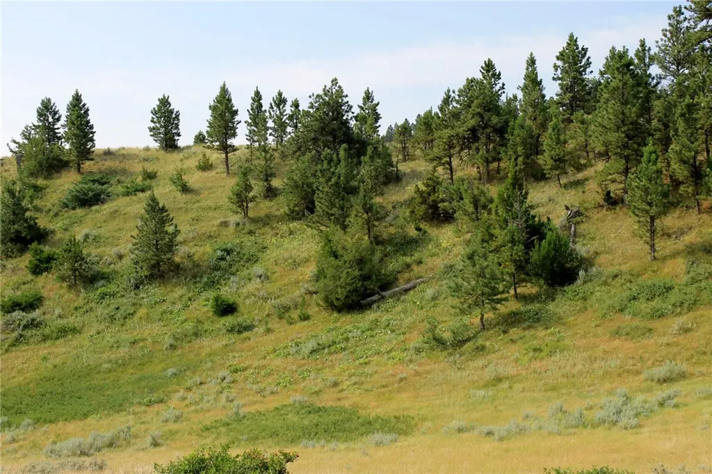 Nhn Lone Rock Canyon Hysham MT 59076