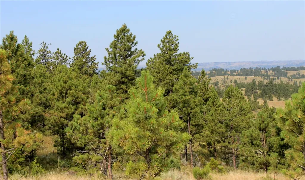 Nhn Lone Rock Canyon Hysham MT 59076