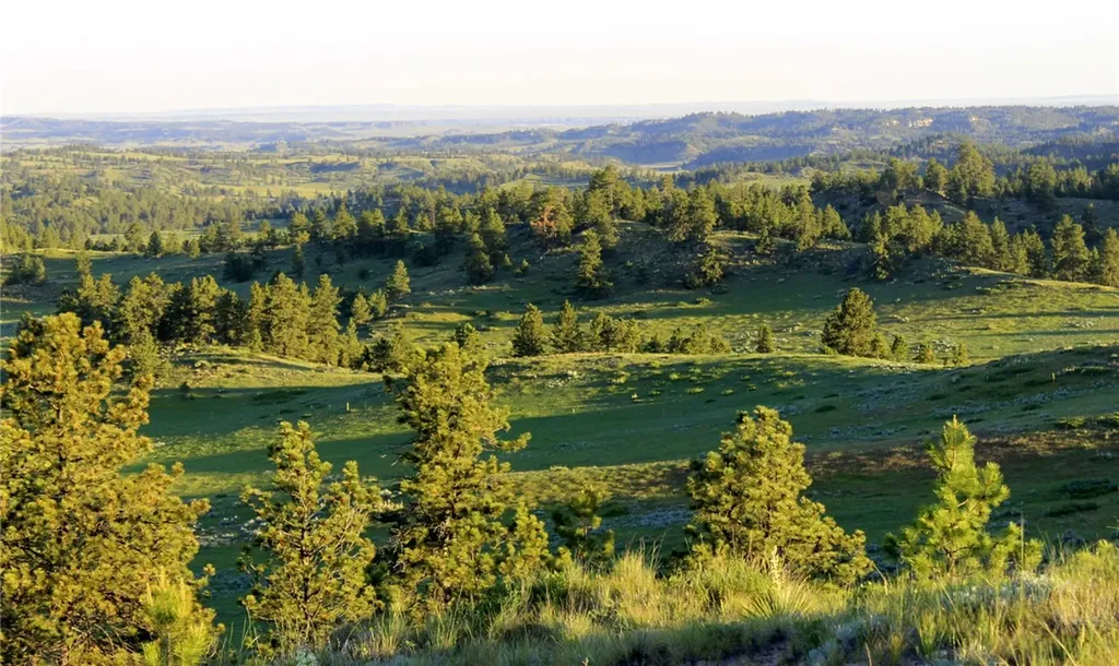 Nhn Lone Rock Canyon Hysham MT 59076