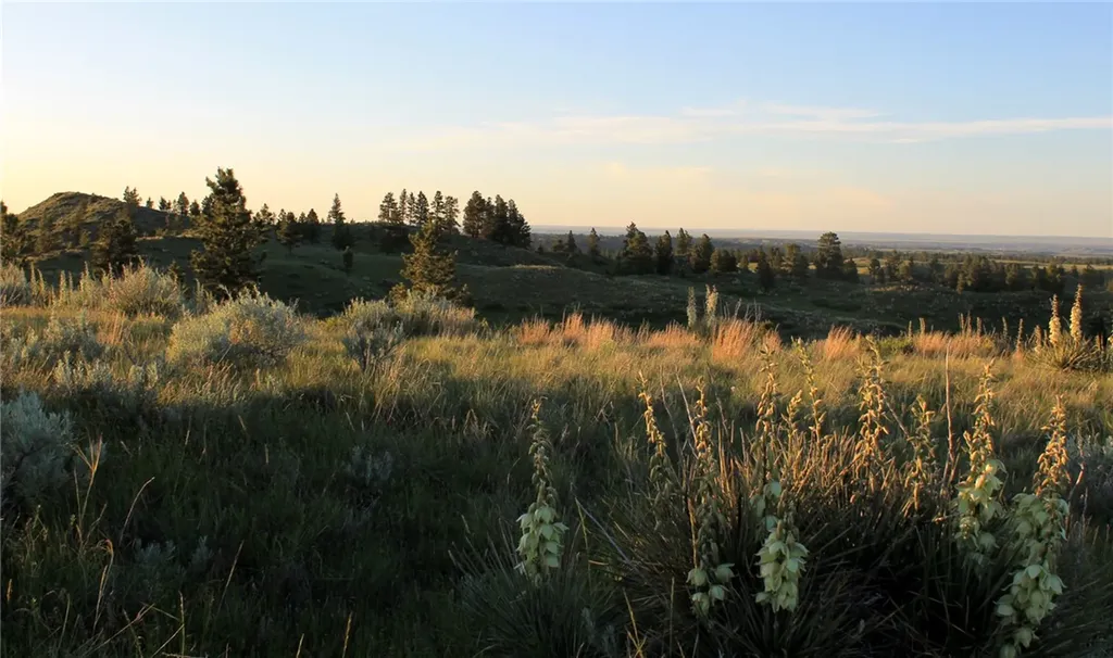 Nhn Lone Rock Canyon Hysham MT 59076