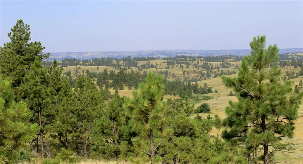 Nhn Lone Rock Canyon Hysham MT 59076