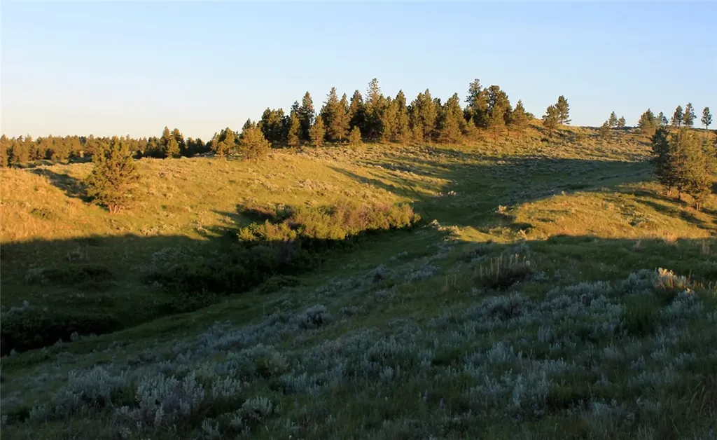 Nhn Lone Rock Canyon Hysham MT 59076