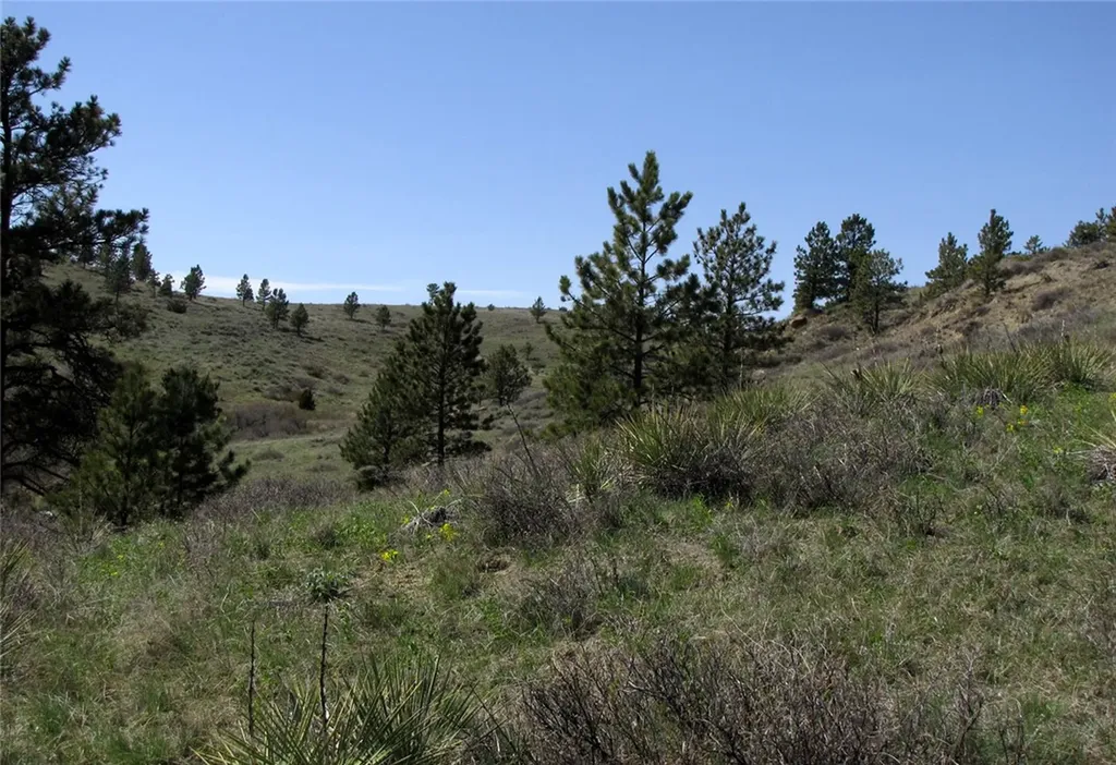 Nhn Lone Rock Canyon Hysham MT 59076