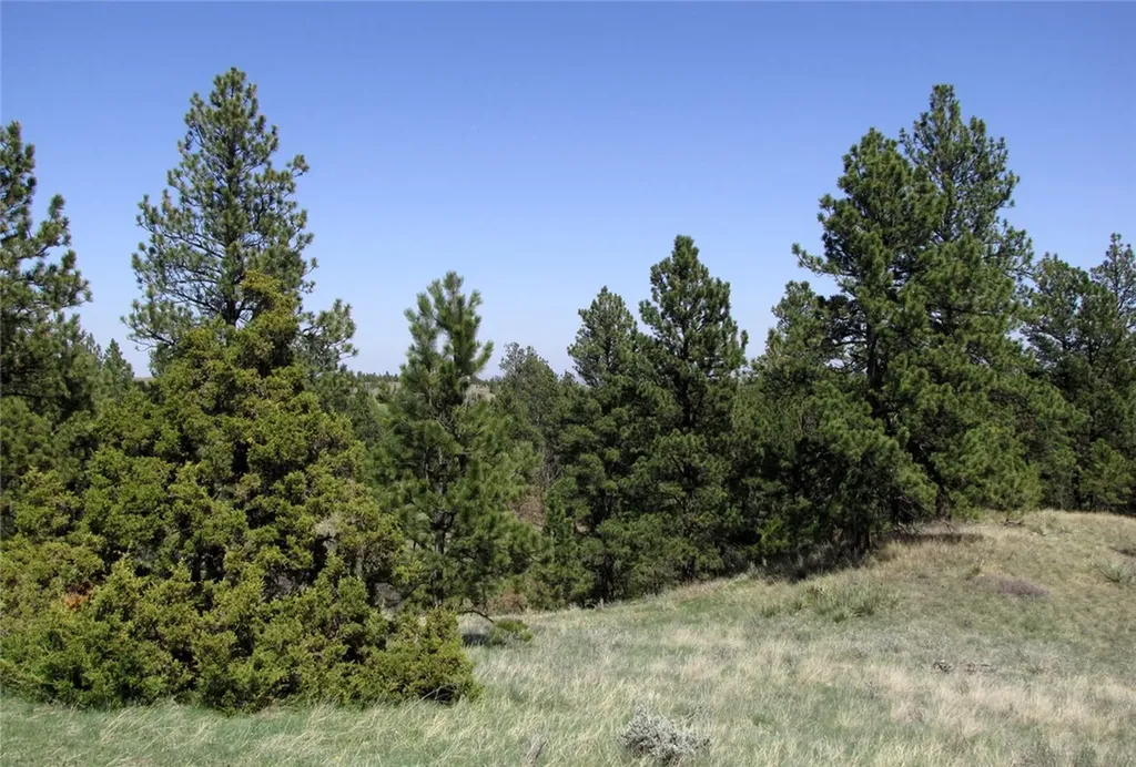 Nhn Lone Rock Canyon Hysham MT 59076